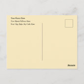 Herfst Zonnebloemen, Herfst Zonnebloemen en Pompoe Briefkaart (Achterkant)