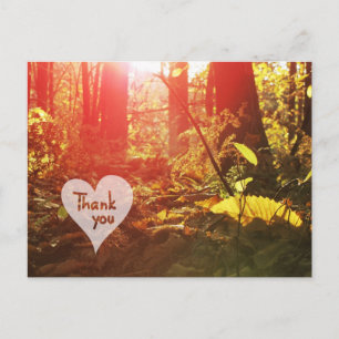 Herfst Zonneschijn Bos Hart Dank u Briefkaart