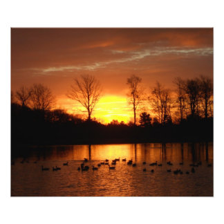 herfst zonsopgang foto afdruk
