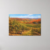 Herfstappelboomgaardlandschap Canvas Afdruk (Voorkant)