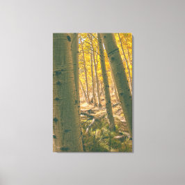 Herfstaspenen Canvas Afdruk