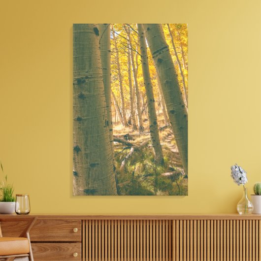 Herfstaspenen Canvas Afdruk (Insitu (Woonkamer))