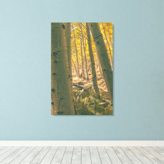 Herfstaspenen Canvas Afdruk (Insitu (Houten vloer))