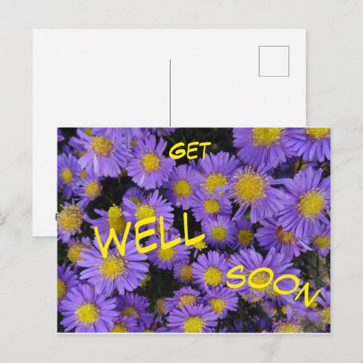 Herfstaster Kaart. Beterschap Wenskaart Briefkaart (Voorkant / Achterkant)