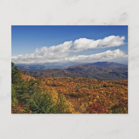 Herfstbeeld van de Zuidelijke Appalachen Briefkaart (Voorkant)