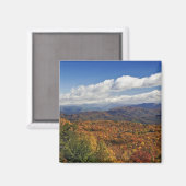 Herfstbeeld van de Zuidelijke Appalachen Magneet (Voorkant / Achterkant)