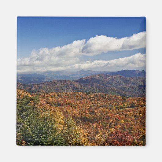 Herfstbeeld van de Zuidelijke Appalachen Magneet (Voorkant)