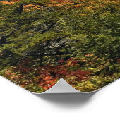 Herfstbeeld van de Zuidelijke Appalachen Poster (Hoek)