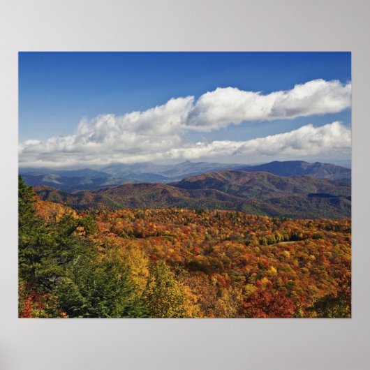 Herfstbeeld van de Zuidelijke Appalachen Poster (Voorkant)