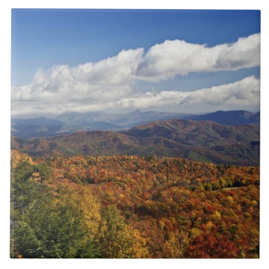 Herfstbeeld van de Zuidelijke Appalachen Tegeltje (Voorkant)