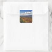 Herfstbeeld van de Zuidelijke Appalachen Vierkante Sticker (Tas)