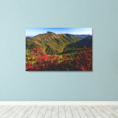 Herfstbeeld van Linville Gorge vaak genoemd de Canvas Afdruk (Insitu (Houten vloer))