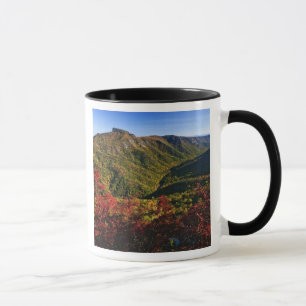 Herfstbeeld van Linville Gorge vaak genoemd de Mok