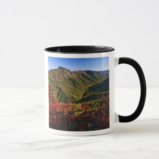 Herfstbeeld van Linville Gorge vaak genoemd de Mok (Rechts)