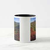 Herfstbeeld van Linville Gorge vaak genoemd de Mok (Midden)