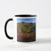 Herfstbeeld van Linville Gorge vaak genoemd de Mok (Links)