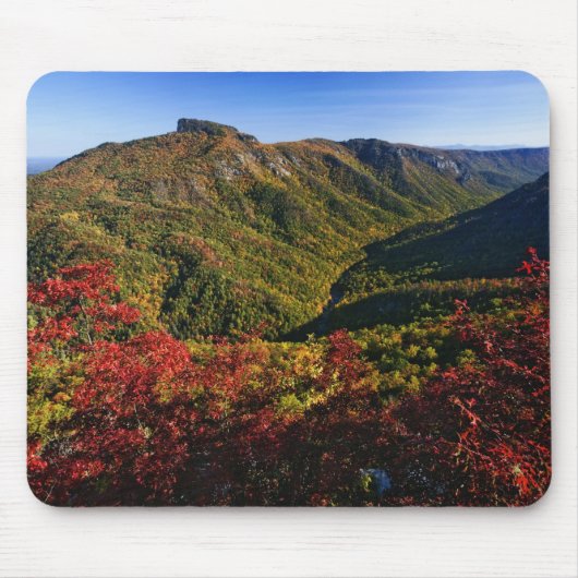 Herfstbeeld van Linville Gorge vaak genoemd de Muismat (Voorkant)