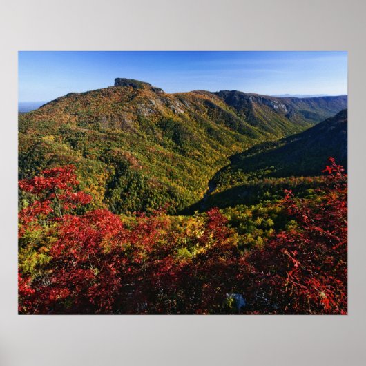 Herfstbeeld van Linville Gorge vaak genoemd de Poster (Voorkant)