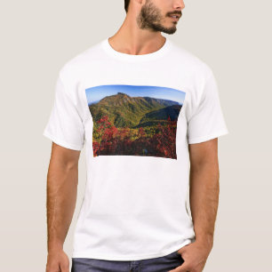 Herfstbeeld van Linville Gorge vaak genoemd de T-shirt