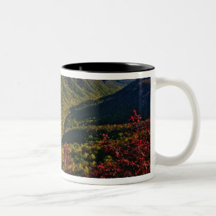 Herfstbeeld van Linville Gorge vaak genoemd de Tweekleurige Koffiemok