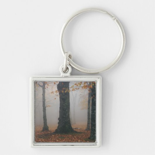 Herfstbeeld van nevelig bos, Grandfather 2 Sleutelhanger (Voorkant)