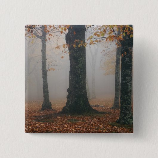 Herfstbeeld van nevelig bos, Grandfather 2 Vierkante Button 5,1 Cm (Voorkant)