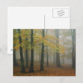 Herfstbeeld van nevelig bos, Grandfather 3 Briefkaart (Voorkant / Achterkant)