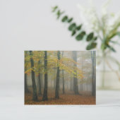 Herfstbeeld van nevelig bos, Grandfather 3 Briefkaart (Staand voorkant)