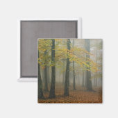 Herfstbeeld van nevelig bos, Grandfather 3 Magneet (Voorkant / Achterkant)