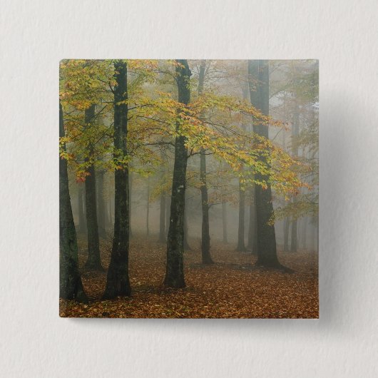 Herfstbeeld van nevelig bos, Grandfather 3 Vierkante Button 5,1 Cm (Voorkant)
