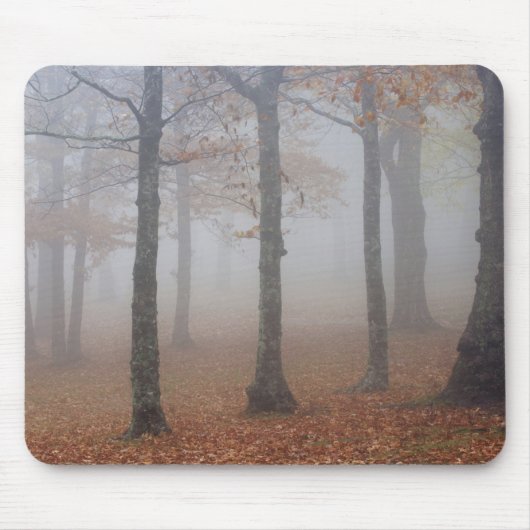 Herfstbeeld van nevelig bos, Grootvader Muismat (Voorkant)