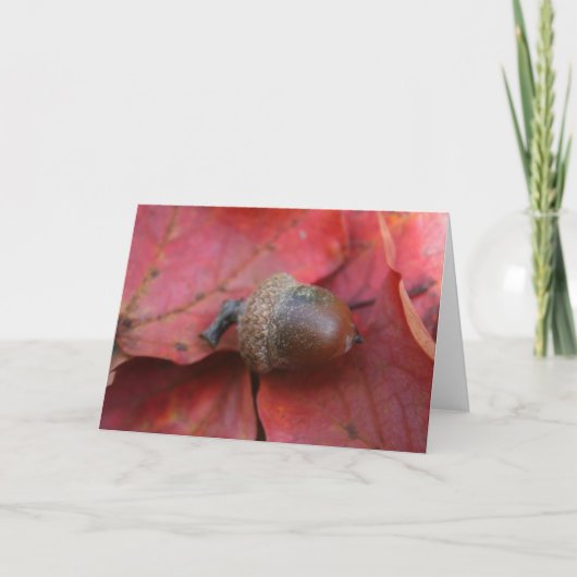 HERFSTBELOFTE KAART (Voorkant)