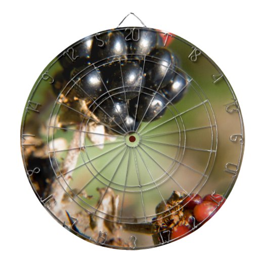 Herfstbessen Dartbord (Voorkant)