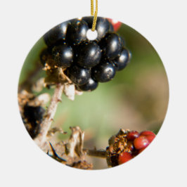 Herfstbessen Keramisch Ornament