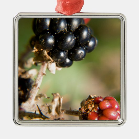Herfstbessen Metalen Ornament (Voorkant)