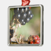 Herfstbessen Metalen Ornament (Links)
