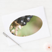 Herfstbessen Ovale Sticker (Envelop)