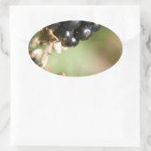 Herfstbessen Ovale Sticker (Tas)