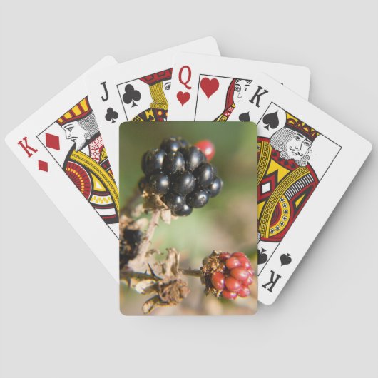 Herfstbessen Pokerkaarten (Achterkant)