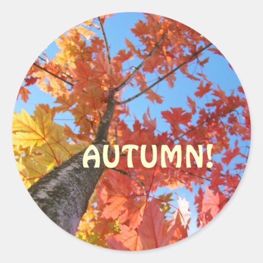 Herfstblaadjesstickers op maat Herfstblaadjes Ronde Sticker (Voorkant)