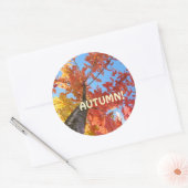 Herfstblaadjesstickers op maat Herfstblaadjes Ronde Sticker (Envelop)