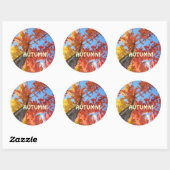Herfstblaadjesstickers op maat Herfstblaadjes Ronde Sticker (Vel)