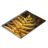 Herfstblad Golden Fern Foto Notitieboek (Linkerzijde)