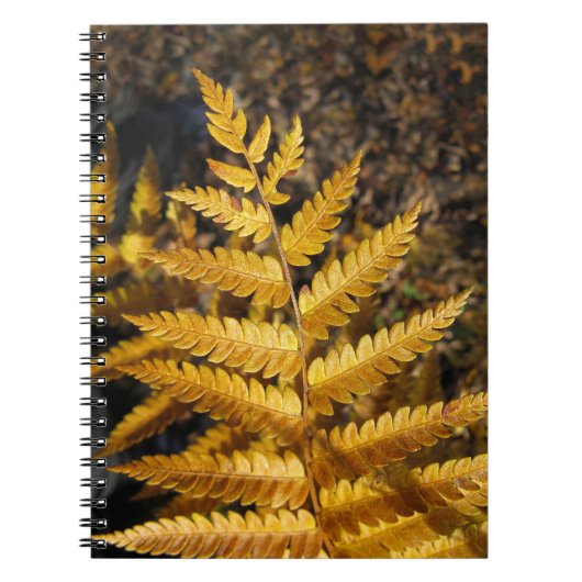Herfstblad Golden Fern Foto Notitieboek (Voorkant)