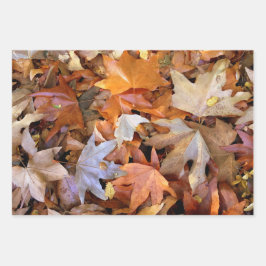 Herfstblad Inpakpapier Vel
