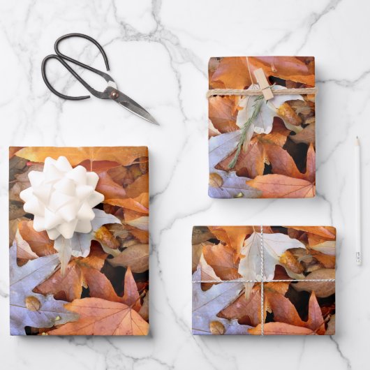 Herfstblad Inpakpapier Vel (Voorkant)