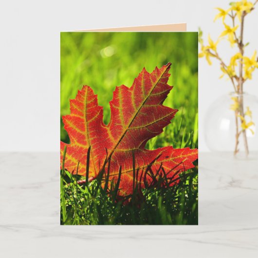 HERFSTBLAD KERSTKAART THANKSGIVING KAART (Gele Bloem)