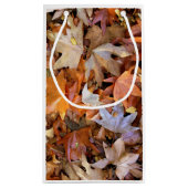 Herfstblad Klein Cadeauzakje (Achterkant)
