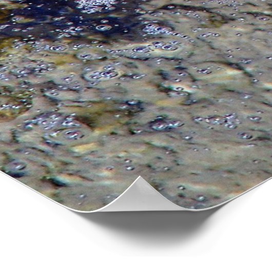 Herfstblad onder het water poster (Hoek)