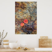 Herfstblad op rots, Californië Poster (Keuken)